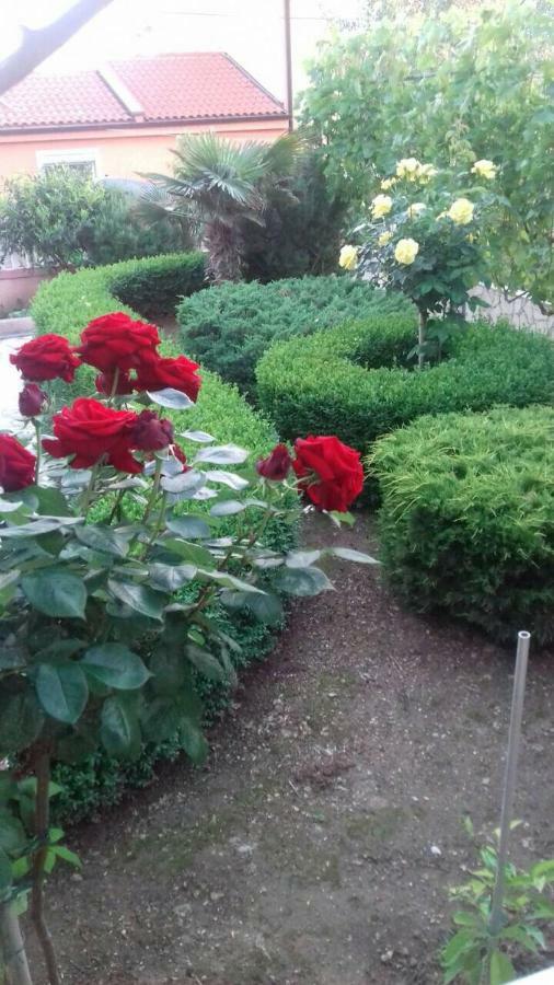 Apartmani Misak Vrsi Esterno foto